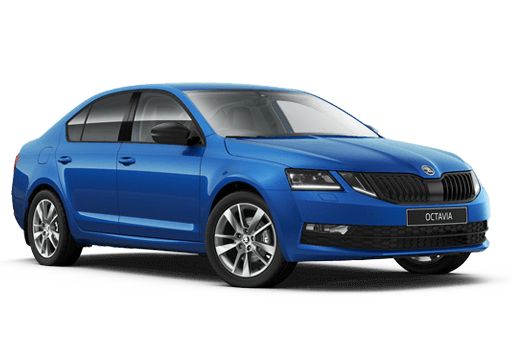 Octavia SE L Image